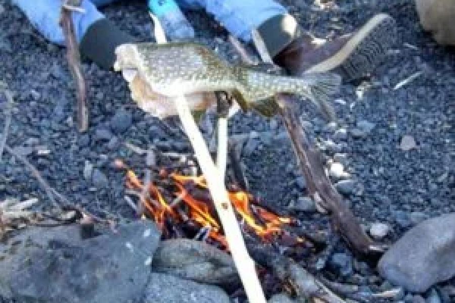 How to Cook Fish Fillets and Skewers Over a Campfire