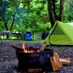 How to Plan a Camping Trip for a Large Group