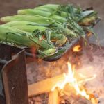 How to Make Campfire Corn on the Cob the Right Way