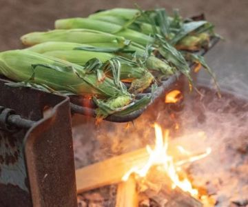 How to Make Campfire Corn on the Cob the Right Way