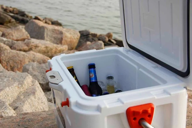 Best Camping Coolers to Keep Food Fresh on Outdoor Adventures
