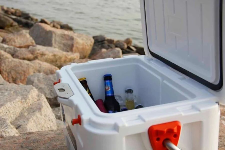 Best Camping Coolers to Keep Food Fresh on Outdoor Adventures