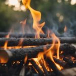 How to Use Campfire Smoke to Keep Animals Away Safely