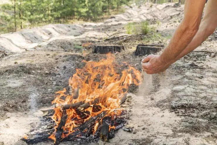 How to Use Campfire Smoke to Keep Flies Away