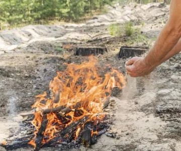 How to Use Campfire Smoke to Keep Flies Away