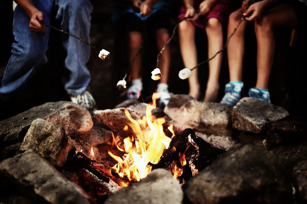 The Importance of Campfire Safety in Dry Forests: How to Prevent Disaster