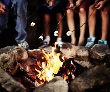 The Importance of Campfire Safety in Dry Forests: How to Prevent Disaster