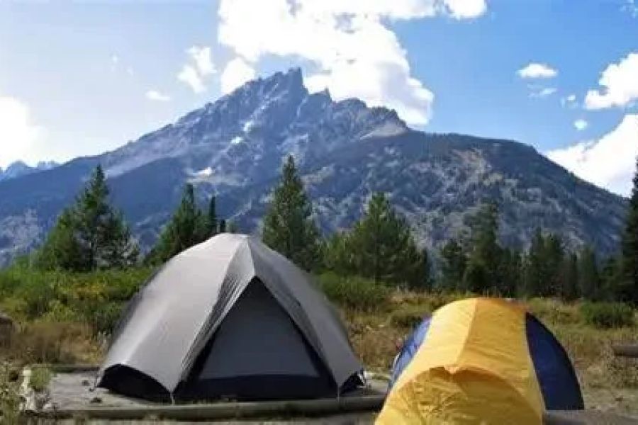 Tips for Camping Near National Parks and Protected Areas
