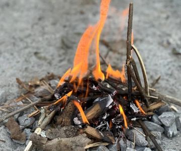 How to Build a Campfire in the Forest Safely and Effectively