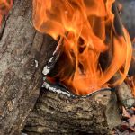 How to Build a Campfire in a Dry Climate Safely and Effectively