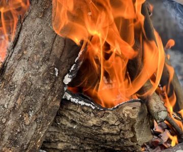 How to Build a Campfire in a Dry Climate Safely and Effectively