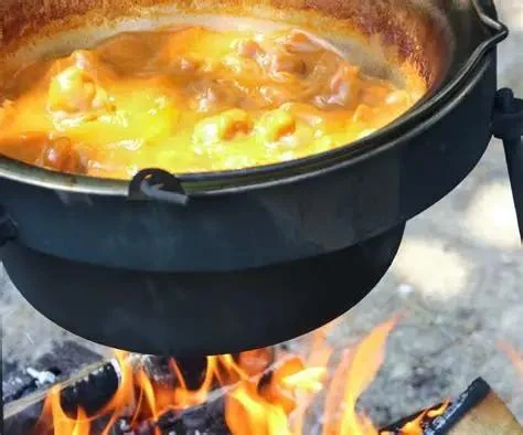 How to Cook Stew Over a Campfire the Right Way