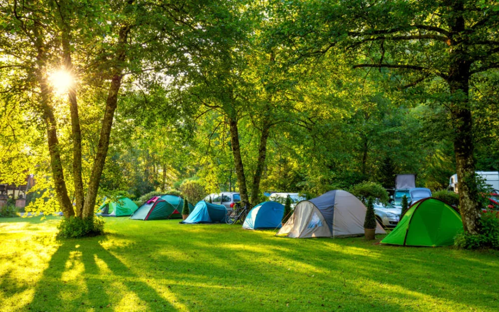 How to Find the Perfect Campsite Spot