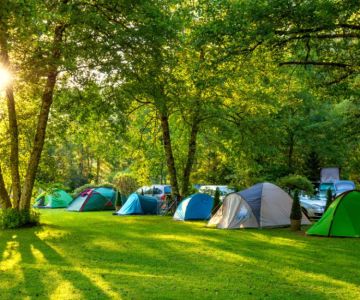 How to Find the Perfect Campsite Spot