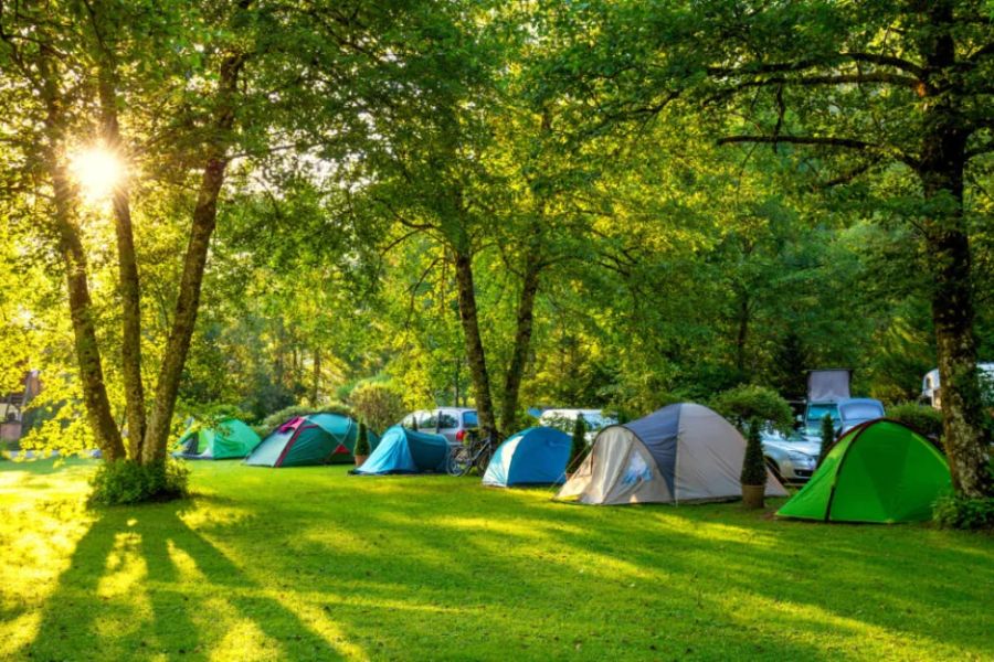 How to Find the Perfect Campsite Spot