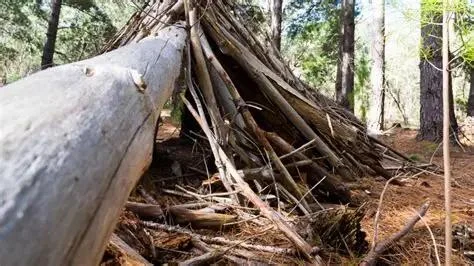 How to Build a Shelter in the Wilderness – A Survivalist’s Guide