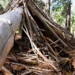 How to Build a Shelter in the Wilderness – A Survivalist’s Guide