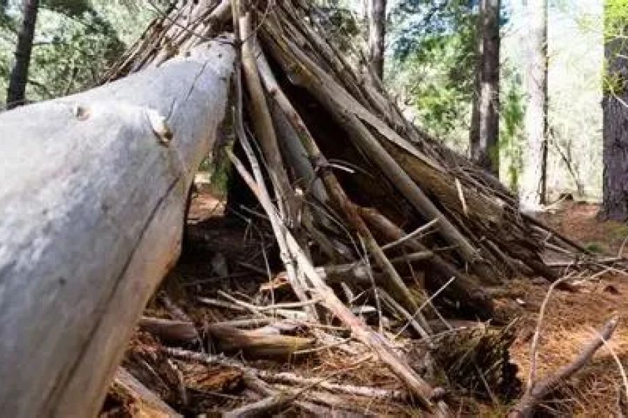 How to Build a Shelter in the Wilderness – A Survivalist’s Guide