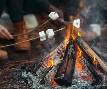 How to Build a Campfire During Rain or Snowfall: Survival Tips and Gear Guide