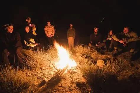 The Best Campfire Locations in National Forests for Starry Nights