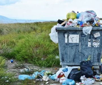 How to Dispose of Waste Properly While Camping Without Harming Nature