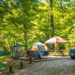 The Best Campgrounds Near Major US Cities