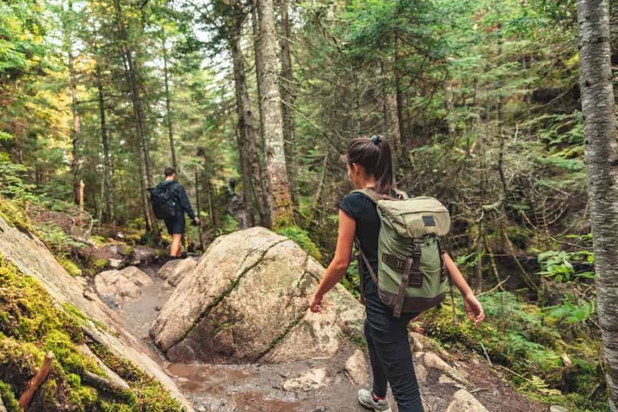 What to Do If You Get Lost While Camping