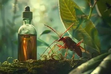 How to Stay Safe From Poisonous Plants and Insects While Camping