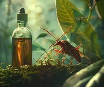 How to Stay Safe From Poisonous Plants and Insects While Camping