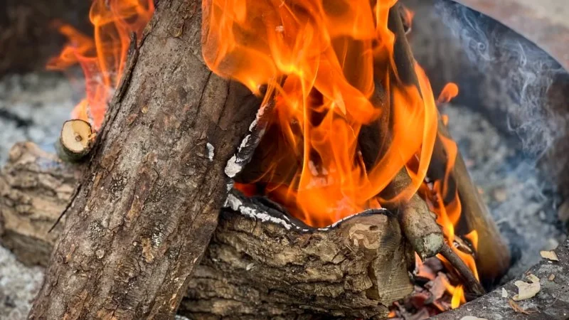 How to Build a Campfire on a Beach the Safe and Smart Way