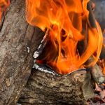 How to Build a Campfire on a Beach the Safe and Smart Way