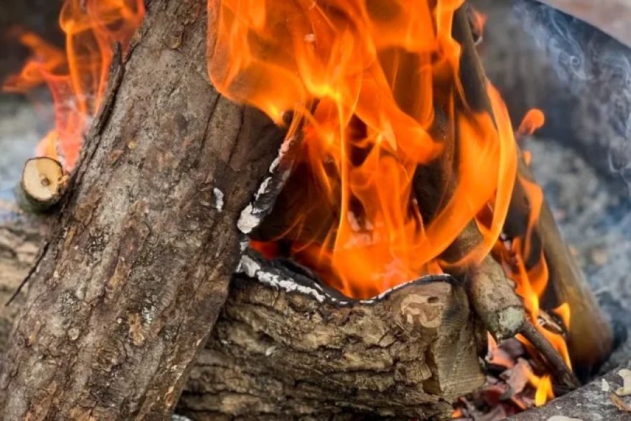How to Build a Campfire on a Beach the Safe and Smart Way