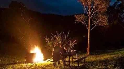 The Importance of Campfire in Camping Culture