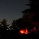 How to Use Campfire Smoke to Keep Bugs Away From Campsites