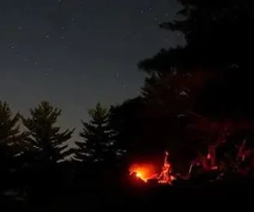 How to Use Campfire Smoke to Keep Bugs Away From Campsites