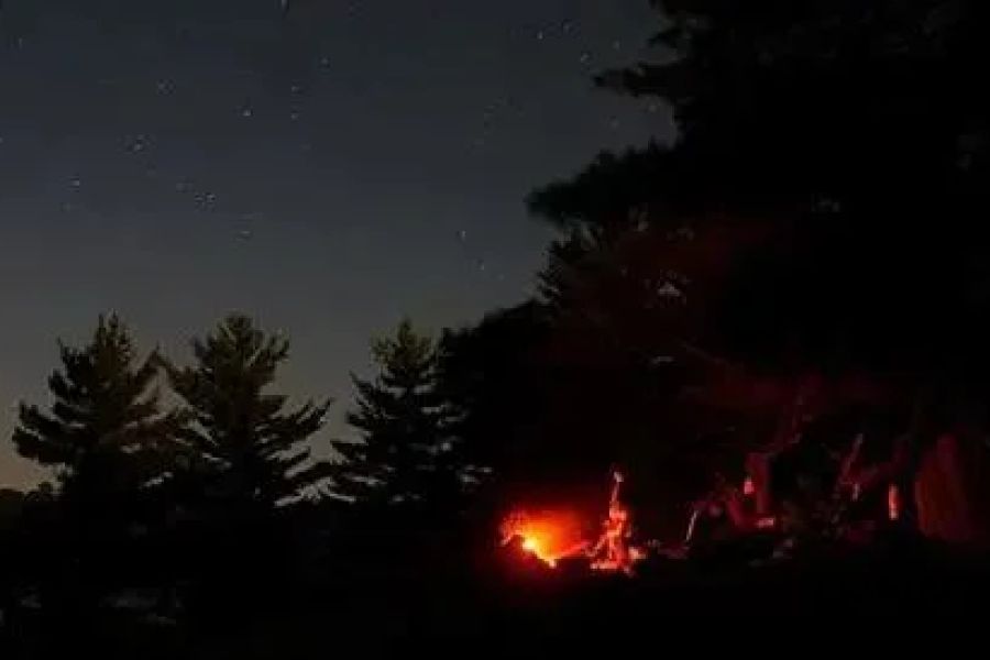 How to Use Campfire Smoke to Keep Bugs Away From Campsites