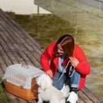 How to Plan a Camping Trip With Pets: A Complete Guide