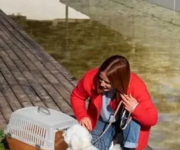 How to Plan a Camping Trip With Pets: A Complete Guide