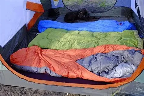 Best Camping Sleeping Bags for Cold Weather: What You Need to Know