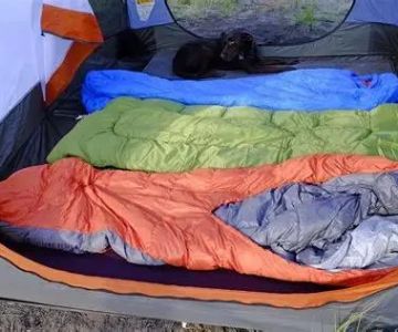 Best Camping Sleeping Bags for Cold Weather: What You Need to Know