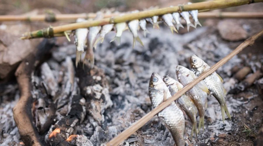 How to Cook Fresh Fish Over a Campfire Without Ruining It