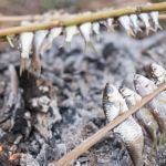 How to Cook Fresh Fish Over a Campfire Without Ruining It