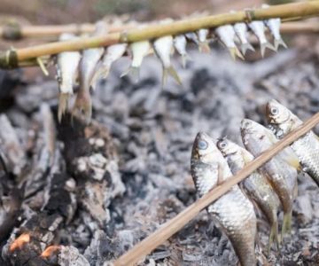 How to Cook Fresh Fish Over a Campfire Without Ruining It