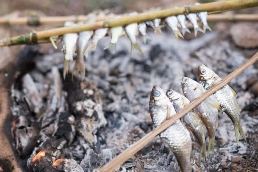 How to Cook Fresh Fish Over a Campfire Without Ruining It