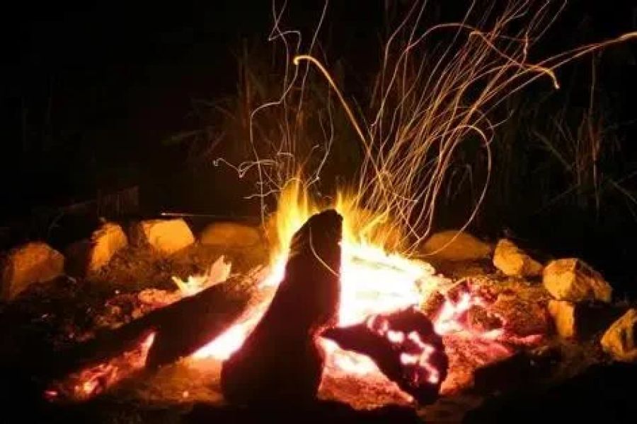 How to Use a Campfire to Signal Rescue Teams in an Emergency