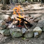 How to Build a Campfire in Forest Clearings Safely