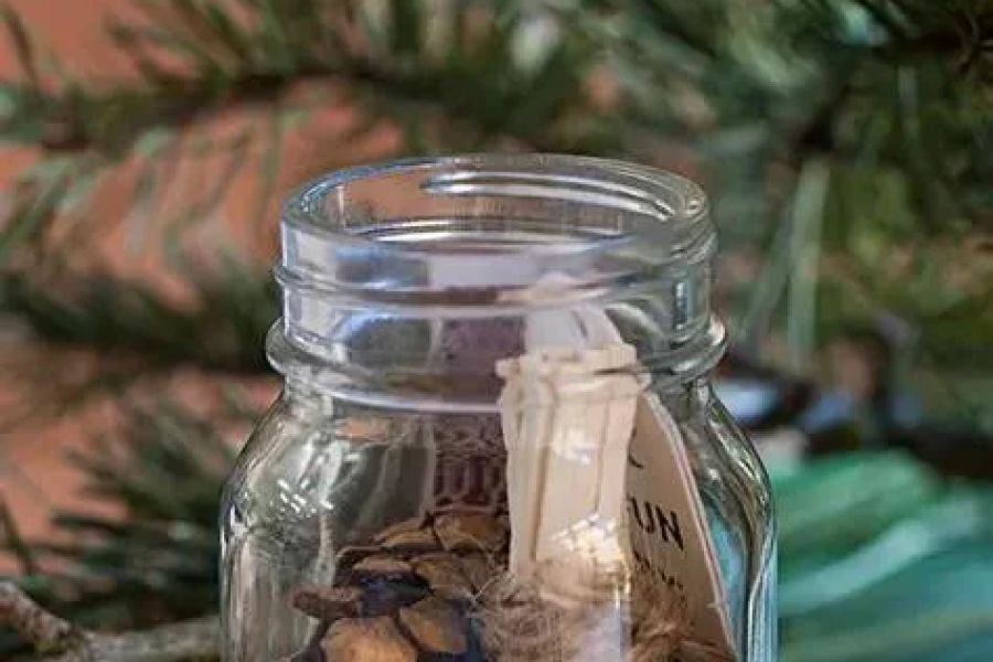 How to Make Your Own Camping Fire Starters Like a Pro