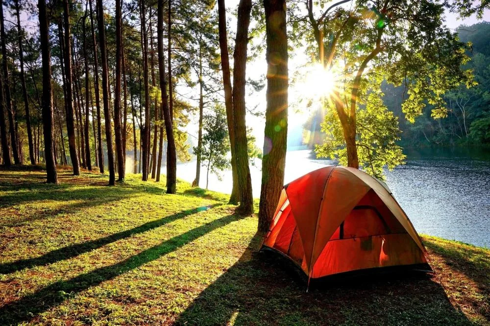 Find Campsites Near Me