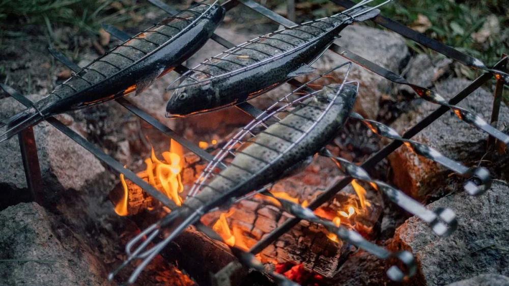 How to Cook Fresh Fish Over a Campfire Like a Pro