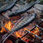 How to Cook Fresh Fish Over a Campfire Like a Pro